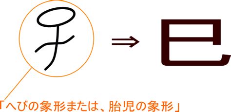 巳|巳／巳年の語源・由来とは